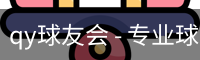 qy球友会 - 专业球类运动爱好者交流平台